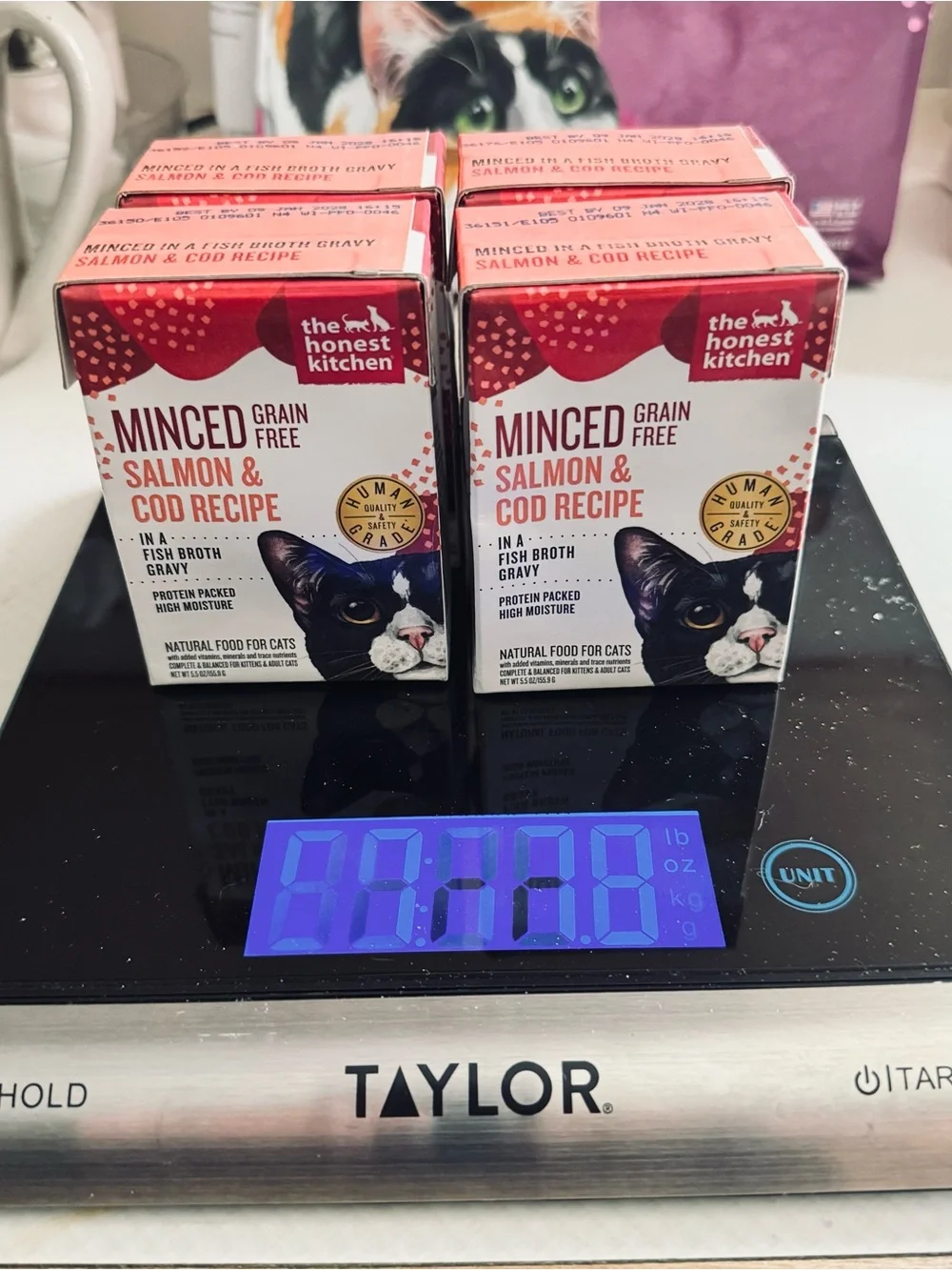 (4) 5.5 oz boxes of The Honest Kitchen Minced Salmon & Cod Recipe Cat Food